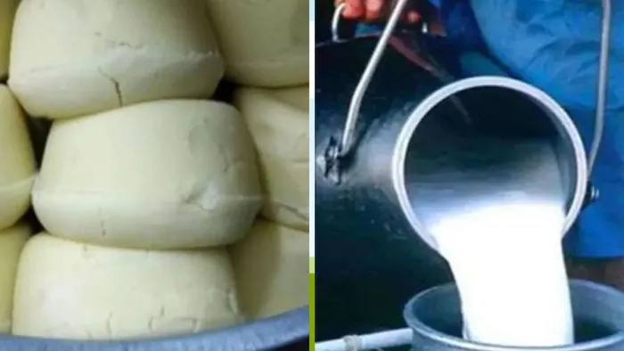 Food Adulteration: प्रदेशभर में मिलावटखोरों के खिलाफ सख्त अभियान. File Photo