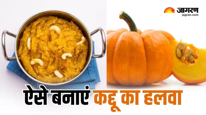 Pumpkin Halwa Recipe: स्वाद में लाजवाब होता है कद्दू का हलवा, बेहद खास है इसे बनाने का तरीका (Image: Freepik)