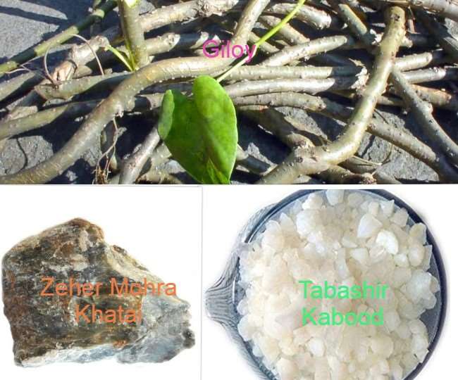 Fight Against Coronavirus: यूनानी नुस्खे से बढ़ाएं इम्यूनिटी, रहें बीमारियों से दूर