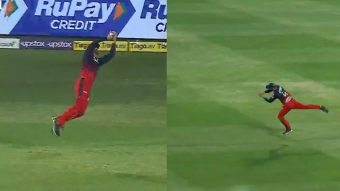 Faf du Plessis catch, फाफ डु प्लेसिस ने पकड़ा शानदार कैच। फोटो- ट्विटर