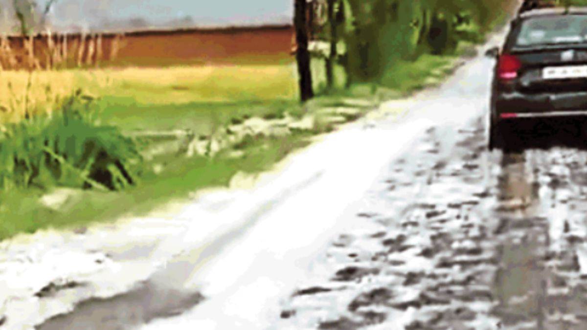 https://www.jagranimages.com/images/newimg/02042023/02_04_2023-haryana_weather_news_23373856.jpg