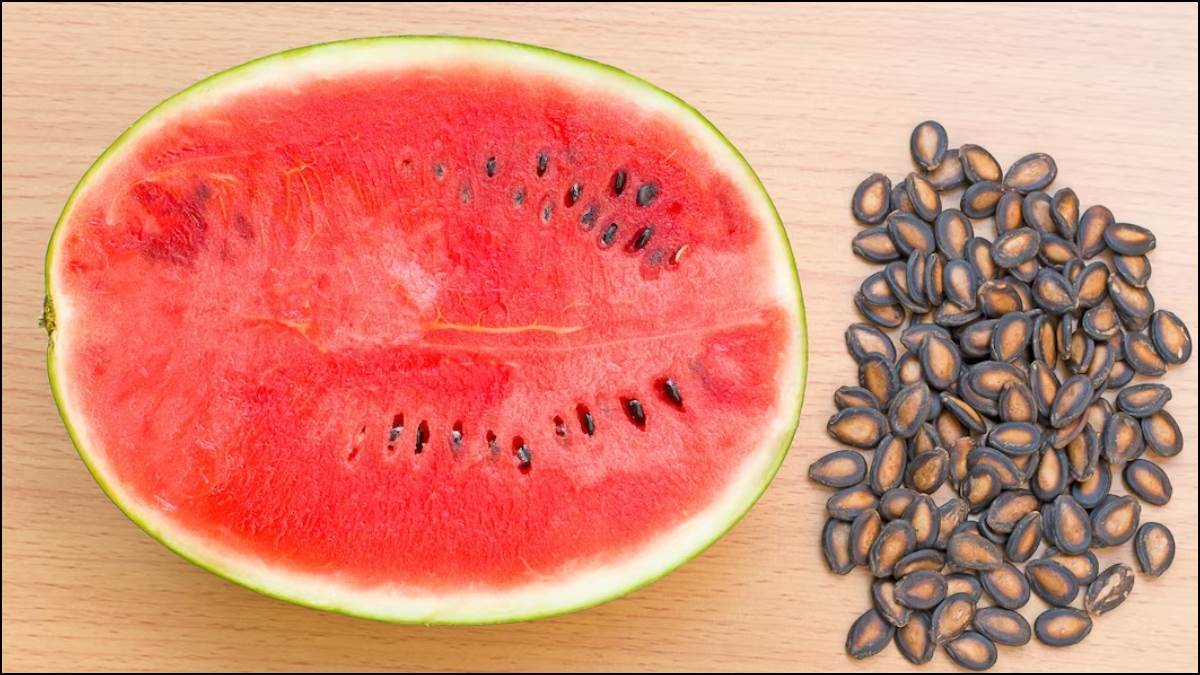 Watermelon Seeds Benefits सेहत ही नहीं त्वचा के लिए भी गुणकारी हैं
