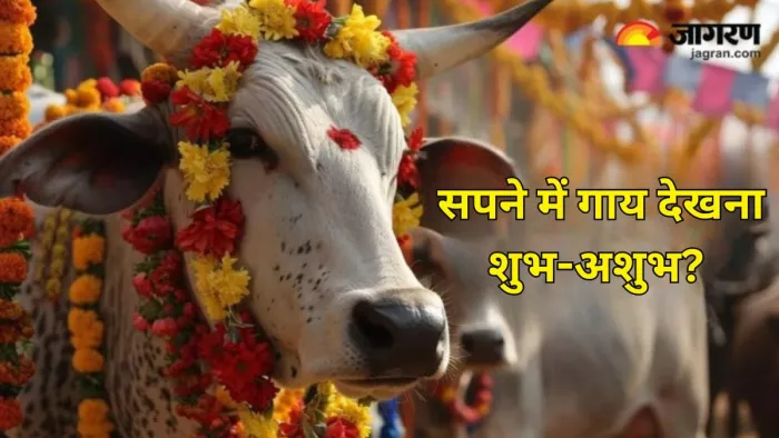 Dream Astrology: सपने में गाय देखने से मिलते हैं ये शुभ संकेत, चमक सकती है आपकी किस्मत