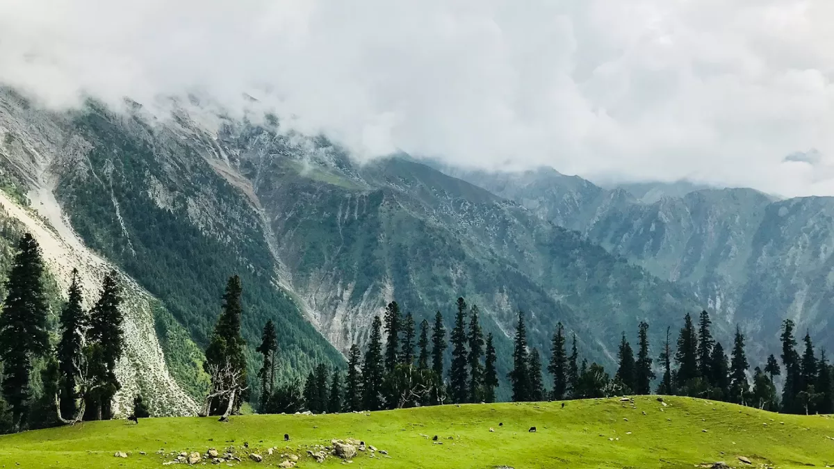 'ताल फिल्म की शूटिंग के बाद मिली नई पहचान' जम्मूहार की खूबसूरत वादियां किसी जन्नत से कम नहीं फिर भी पर्यटकों से दूर