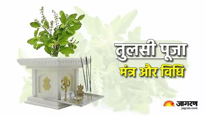 Tulsi Puja Niyam इन मंत्रों के साथ करें तुलसी जी की पूजा।