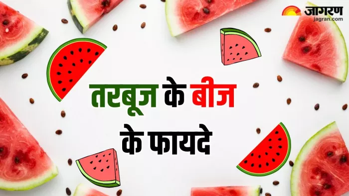 क्या आप जानते हैं तरबूज के बीज के फायदे