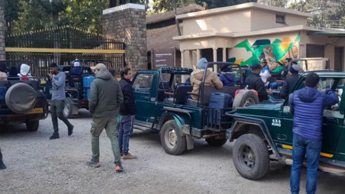 Uttarakhand Tourism: देश में बाघों की संख्या के लिहाज से कार्बेट टाइगर रिजर्व शीर्ष पर है। Jagran File
