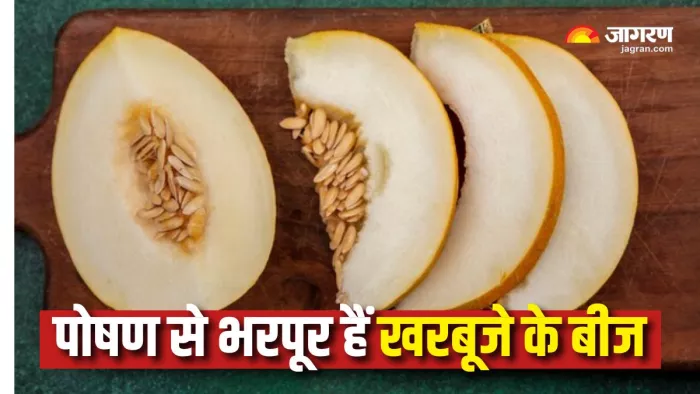 Musk Melon Seeds Benefits: खरबूज के बीज खाने से मिलेंगे 8 कमाल के फायदे (Picture Courtesy: Freepik)