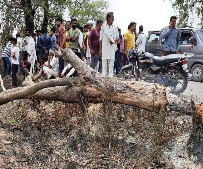 tree fell on uncle and nephew during bike riding in kichha nephew dies uncle condition is critical