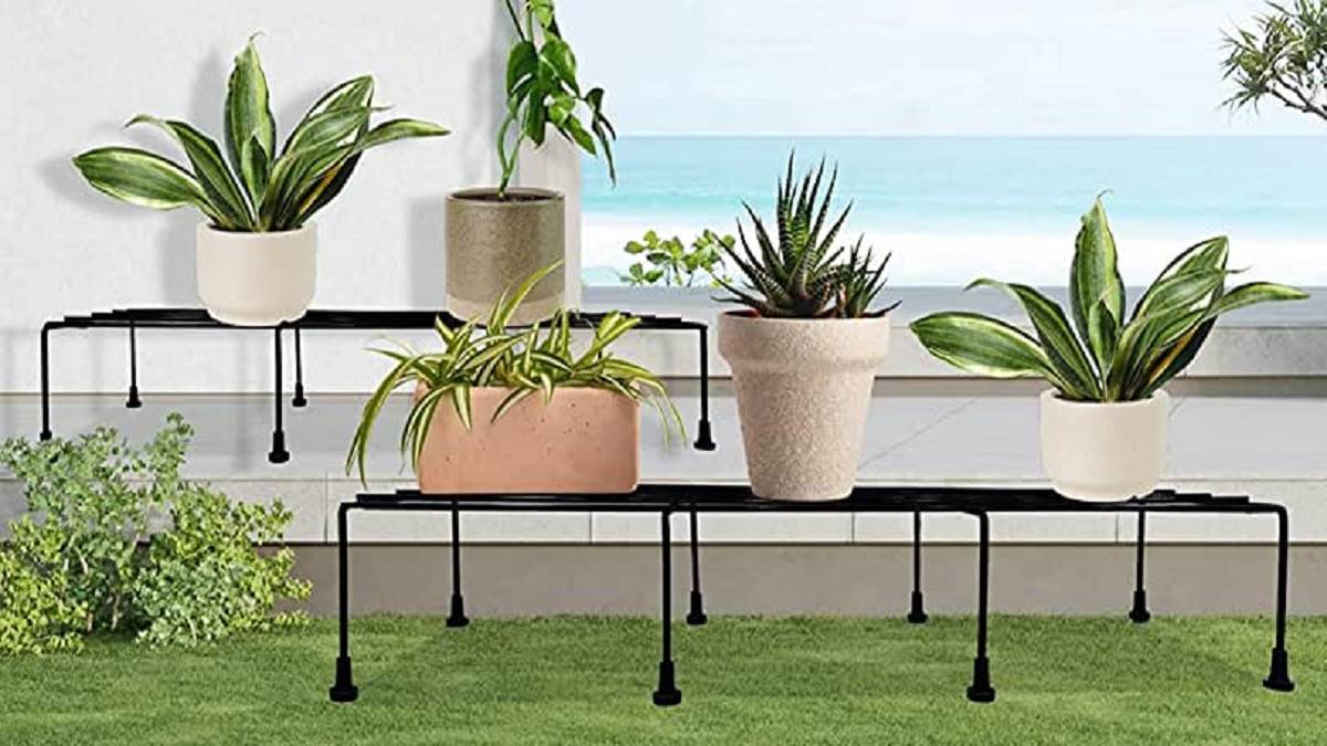 आपके गार्डन और घर का लुक बदल देंगे ये Plant Stand Ideas, कीमत में बेहद ही कम
