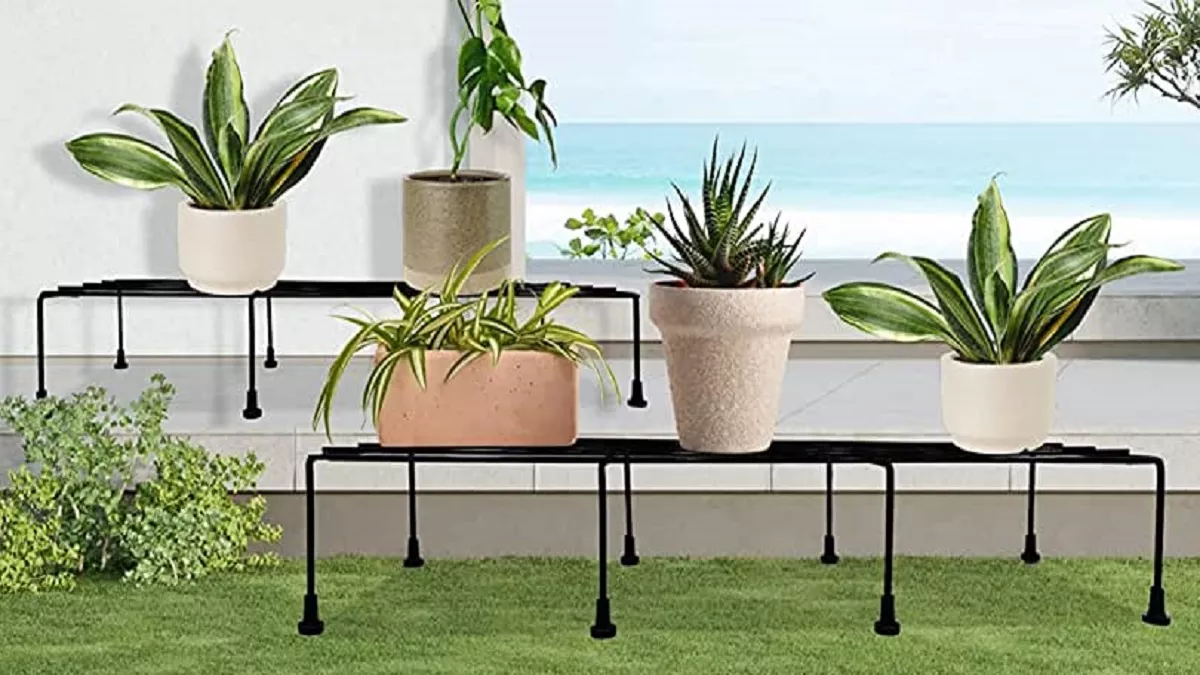 आपके गार्डन और घर का लुक बदल देंगे ये Plant Stand Ideas, कीमत में बेहद ही कम