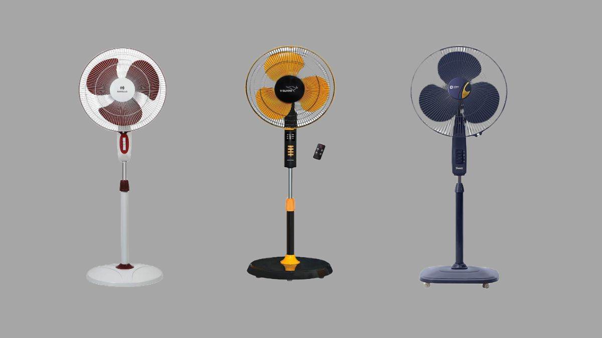 Pedestal Fan Under 4000: गड़गड़ाती आवाज में फेकते हैं ठंडी हवा! पड़ जाएगी चादर ओढ़ने की जरूरत