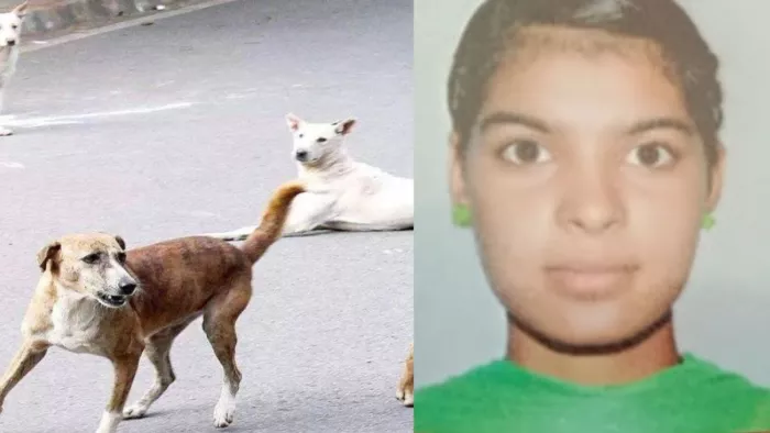 सुबह सैर करने निकली महिला को आवारा कुत्तों ने नोच-नोचकर मार डाला