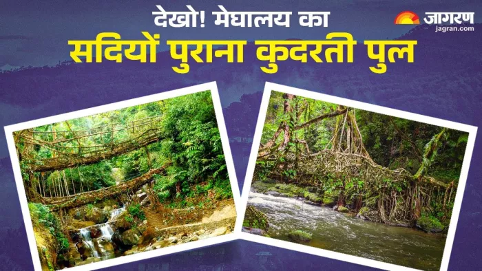 मेघायल की खूबसूरती हैं ये पुल। (Image Credit- Meghalaya Tourism)