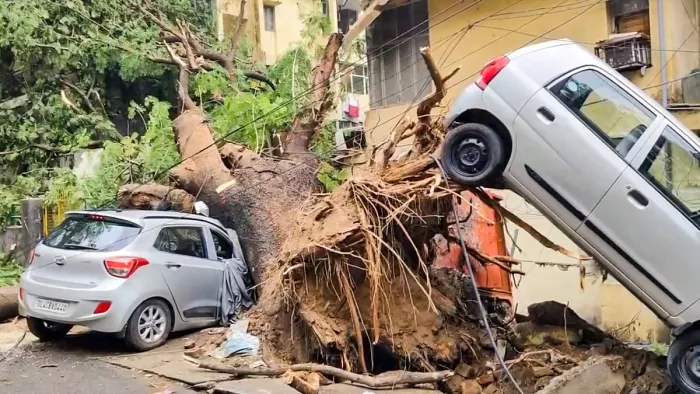 दिल्ली में पेड़ की जड़ से लटकी कार और पेड़ का तना अन्य कार पर गिरा हुआ। जागरण