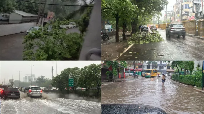 दिल्ली-एनसीआर में आंधी-तूफान ने कहर मचाया। जागरण फोटो