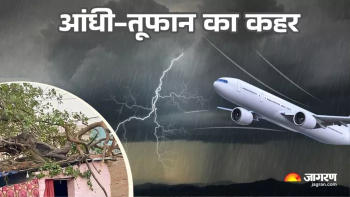दिल्ली में एक मकान पर पेड़ गिरने से चार लोगों की मौत हो गई। फाइल फोटो