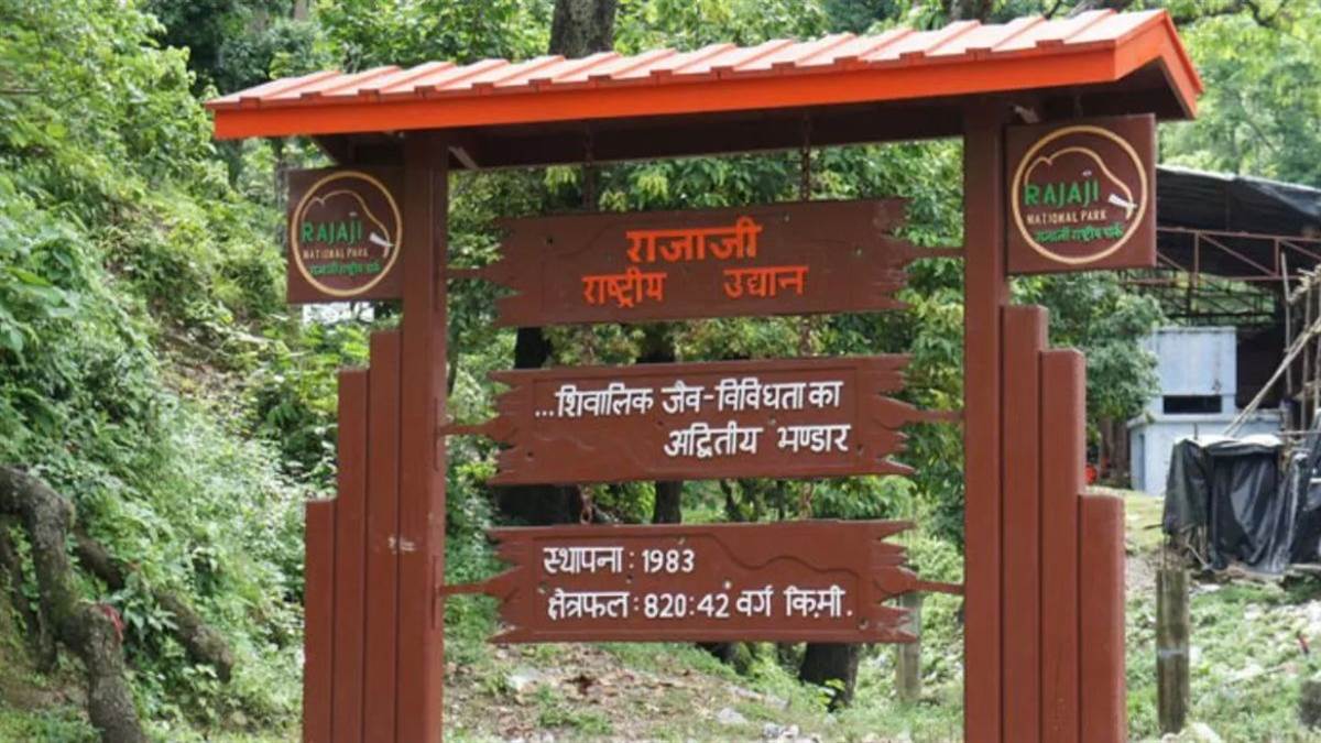rti exposes raja ji tiger reserve noc violations foundation formed