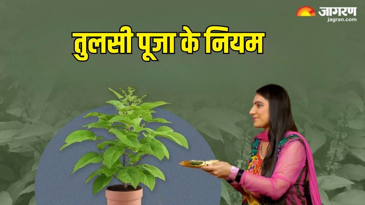 https://www.jagranimages.com/images/newimg/02052025/02_05_2025-tulsi_puja_ke_niyam_23929550.jpg