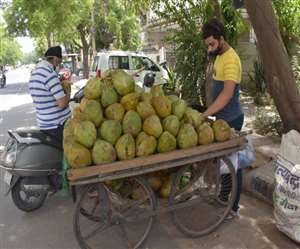 23वीं राष्ट्रीय साइकिलिंग चैंपियनशिप 2018 में साइकिलिस्ट जावेद जीत चुके हैं कांस्य पदक।