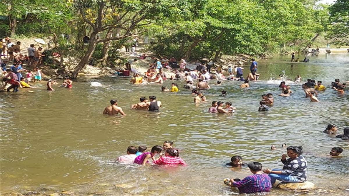 Lachhiwala Picnic Spot पर्यटकों को भा रहा लच्छीवाला नेचर पार्क वन विभाग की आमदनी में हो रही बढ़ोतरी - Lachhiwala Picnic Spot Lachhiwala Nature Park is pleasing to the tourists