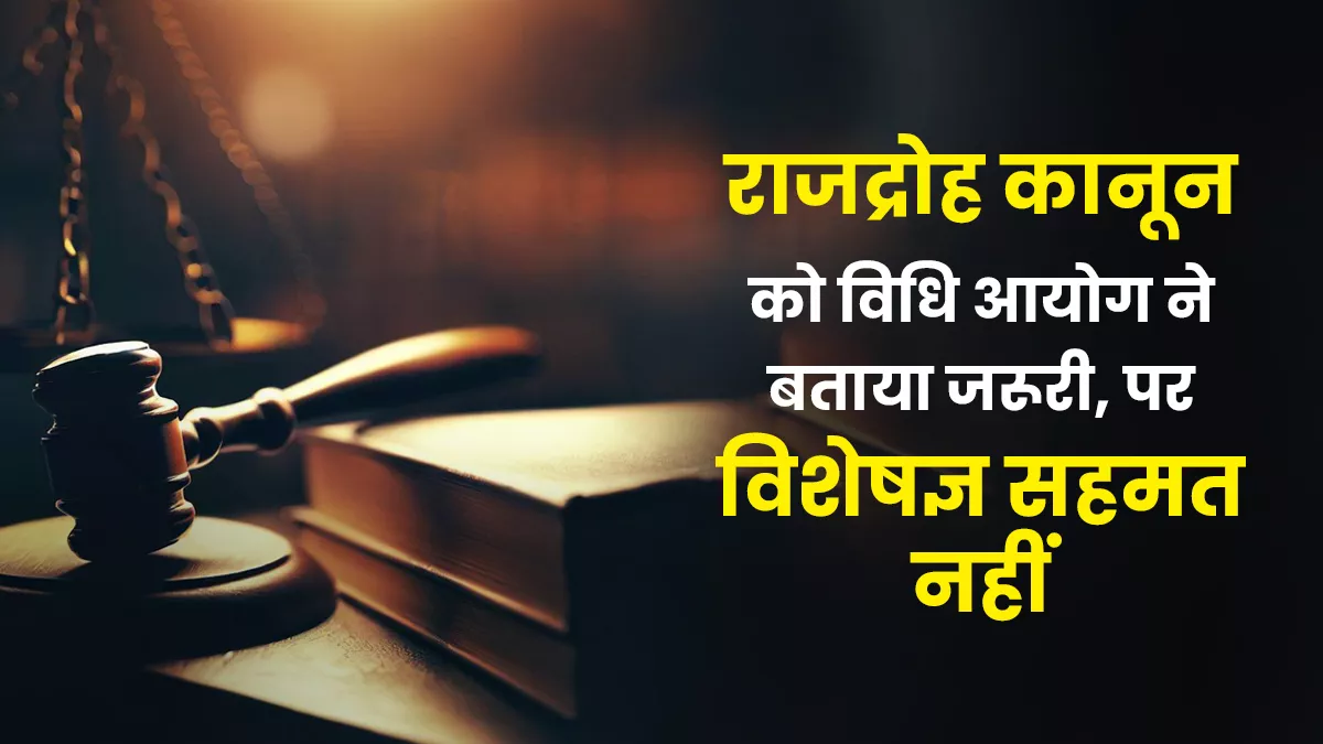 राजद्रोह कानून की संवैधानिकता का है सवाल, आयोग गलत दिशा में ले गया डिबेट- विशेषज्ञ