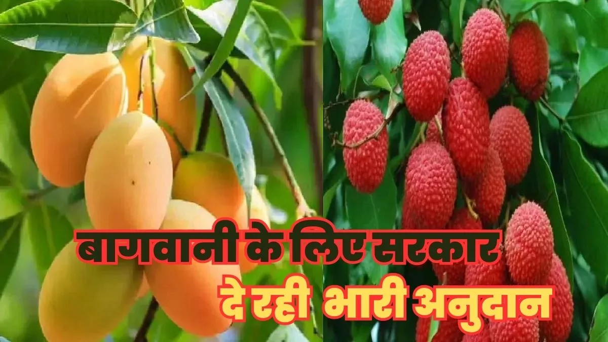 https://www.jagranimages.com/images/newimg/02062023/02_06_2023-bihar_36_23429760_03845863.jpg