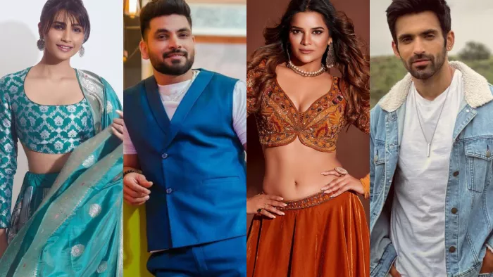 Khatron Ke Khiladi 13 Archana Gautam Becomes Fourth Contestant to Be Eliminated Reports/Instagram
