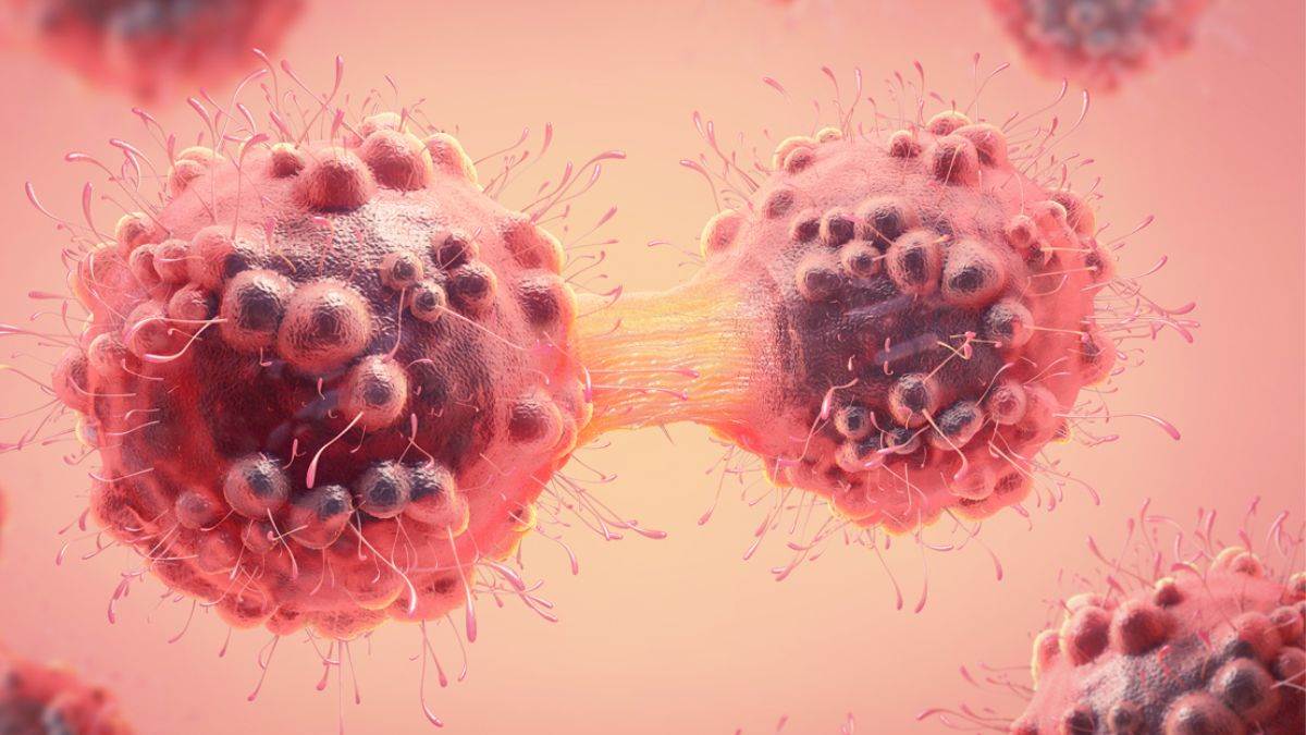 https://www.jagranimages.com/images/newimg/02062024/02_06_2024-cancer_23730721.jpg
