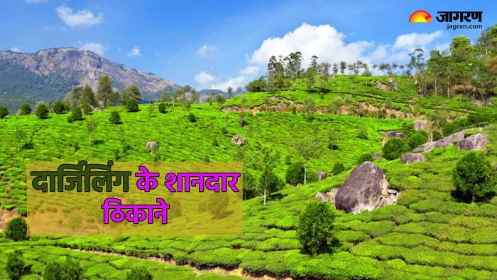 दार्जिलिंग में घूमने की बेस्ट जगहें (Pic credit- freepik0