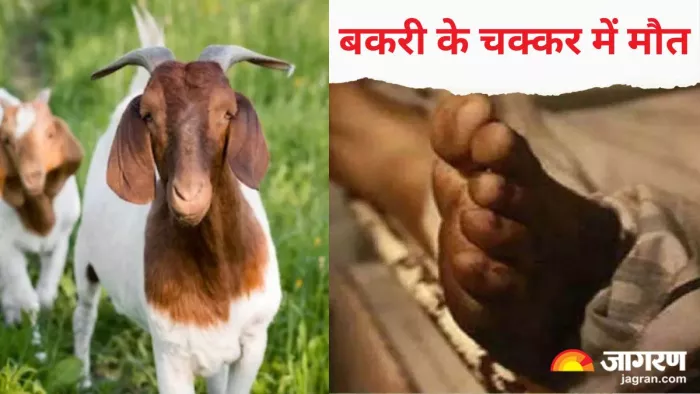 पुलिस सीसी कैमरे से गाड़ी और उस पर सवार आरोपितों की पहचान करने में जुटी है।