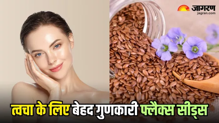 त्वचा की कई समस्याओं से छुटकारा दिला सकते हैं Flax Seeds, ऐसे करें इस्तेमाल (Image Source: Freepik)