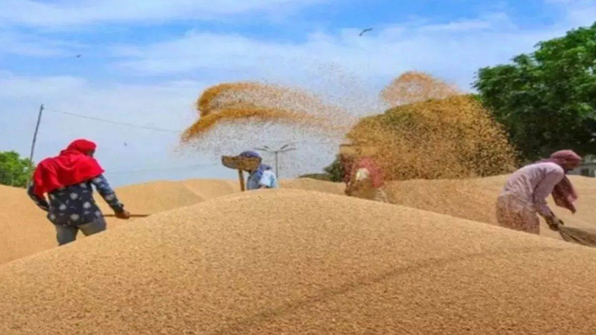 farmers in jhajjar sold their crops one and a half months ago but have not received the money yet submitted a memorandum to dc