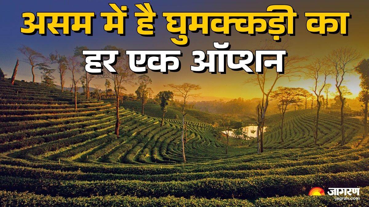 assam tourism explore hill stations islands and tea gardens for a perfect getaway