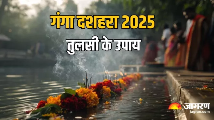 Ganga Dussehra 2025: धन की कमी दूर करेंगे तुलसी के ये उपाय, नेगेटिव एनर्जी से मिलेगा छुटकारा