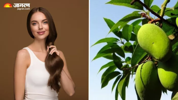 घने और लंबे बालों के लिए ऐसे करें आम की पत्तियों का इस्तेमाल (Image Source: Freepik)