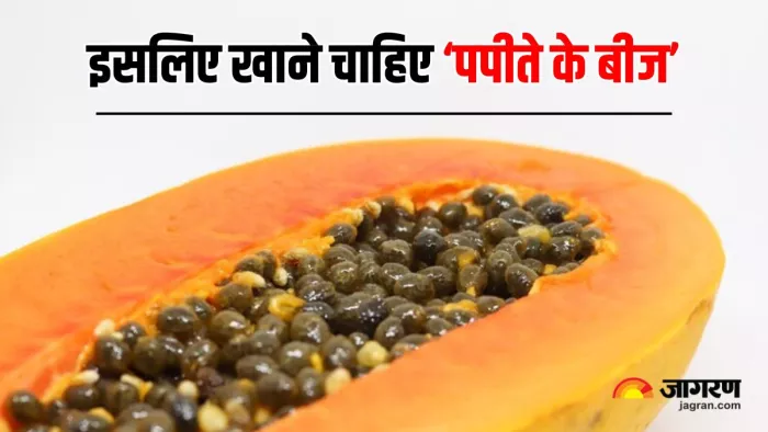 इन 5 वजहों से सेहत के लिए बहुत फायदेमंद हैं Papaya Seeds (Image Source: Freepik)