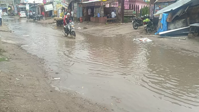 बड़हरिया में वृक्ष और बिजली के पोल गिरने से सड़क और बिजली बाधित।