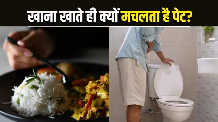खाने के तुरंत बाद क्यों महसूस होती है टॉयलेट जाने की जरूरत? (Image Source: Freepik)