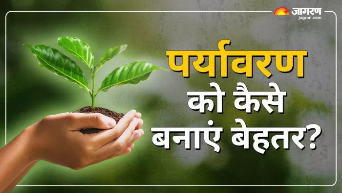World Environment Day 2025 पर्यावरण को बचाने की जिम्मेदारी हमारी है।