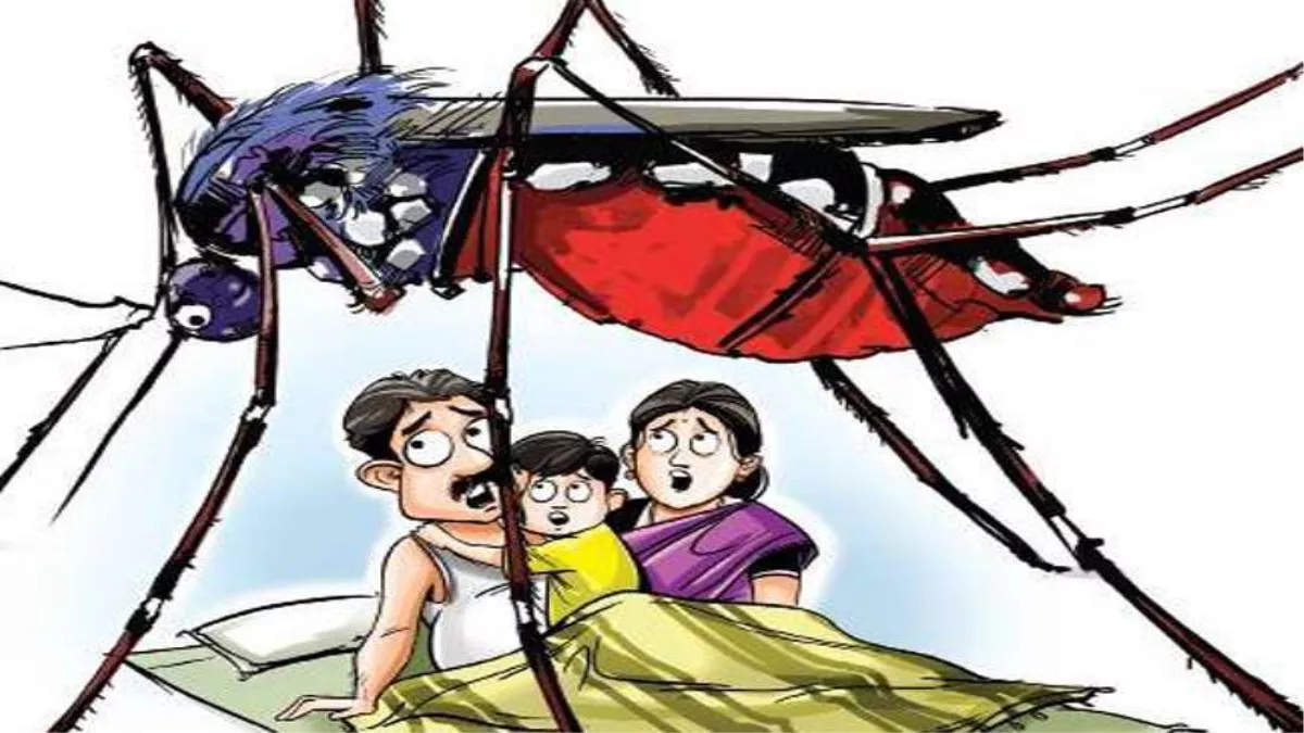 Communicable Disease Control Campaign: बारिश के साथ ही मच्छरों का बढ़ा आतंक, डेंगू- मलेरिया से बचने को पढ़ें एक्सपर्ट की राय