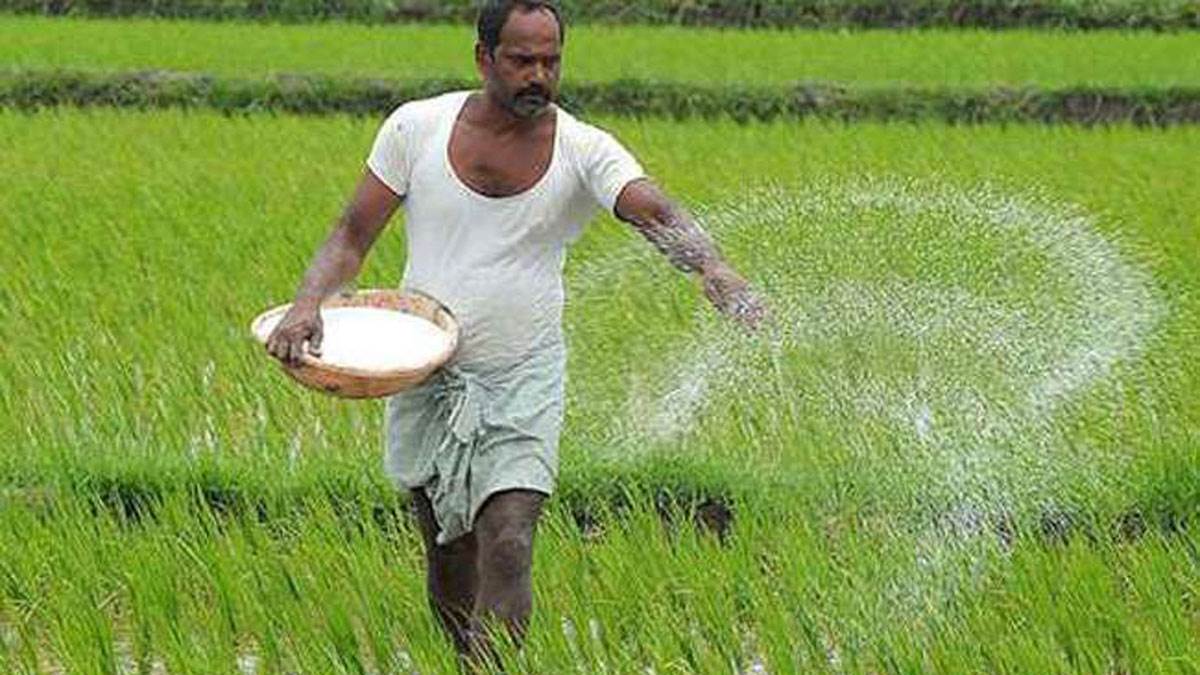 Pradhan Mantri Fasal Bima Yojana : उठा सकते हैं किसान प्रधानमंत्री फसल बीमा योजना का लाभ