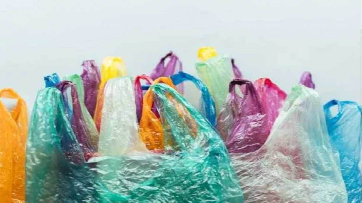 हरियाणा में सिंगल यूज प्लास्टिक पर प्रतिबंध। सांकेतिक फोटो