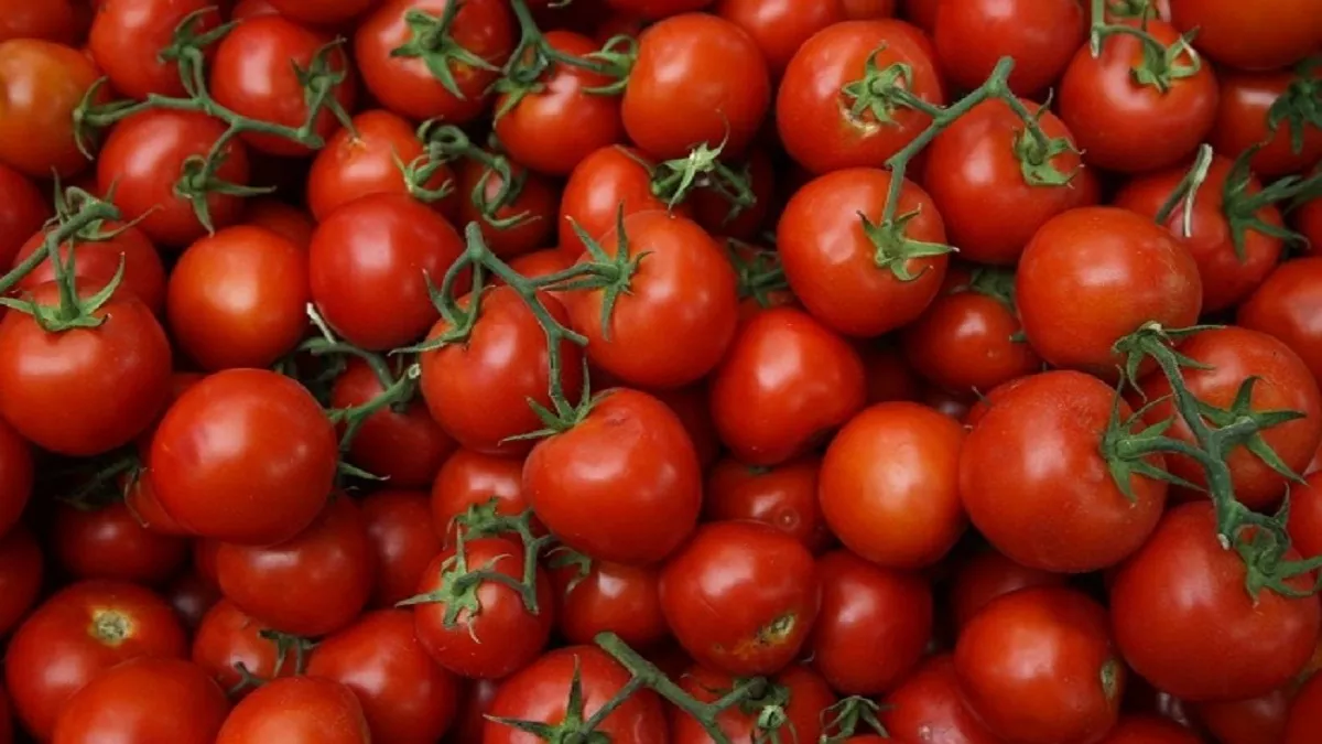 Nainital News: नैनीताल में सौ के पार बिक रहा टमाटर, बिगड़ा सब्जियों का जायका