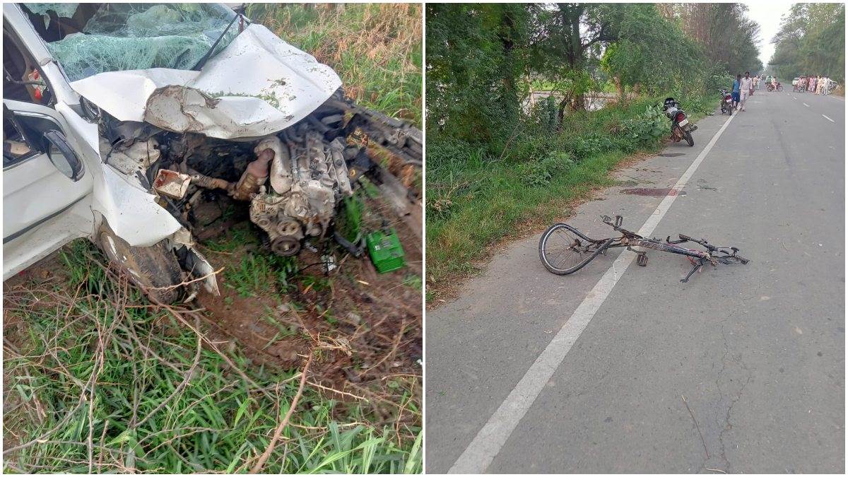बठिंडा में आवारा पशु के आगे आने से असंतुलित हुई कार, साइकिल को मारी