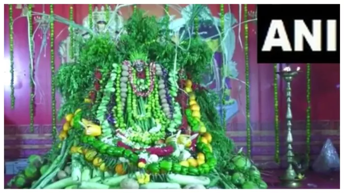 देवी कनकदुर्गा को सब्जियों और फलों से सजाया (फोटो-एएनआई)