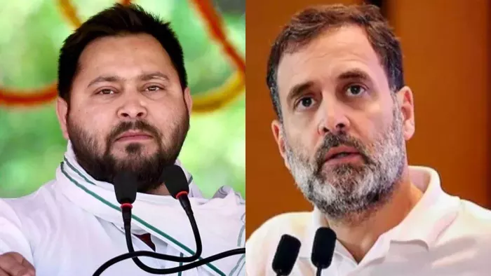राहुल के सपोर्ट में उतरा राजद, भाजपा पर बोला हमला