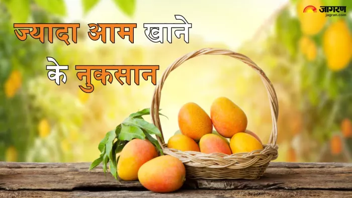 ज्यादा आम खाने के नुकसान (Picture Credit- Freepik)