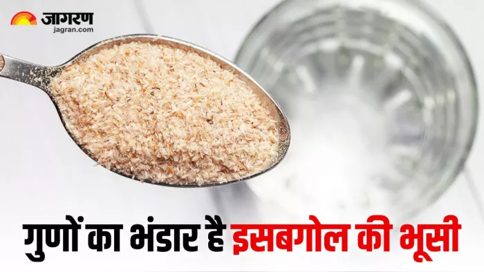 बेहद फायदेमंद है इसबगोल की भूसी, रोजाना खाने से सेहत को मिलते हैं ये 5 लाजवाब (Image Source: Freepik)