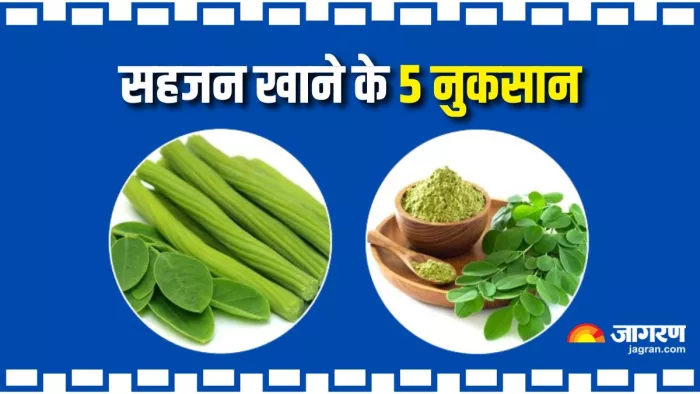 मोरिंगा खाने के ये 5 नुकसान, शायद नहीं जानते होंगे आप! (Image Source: Canva)